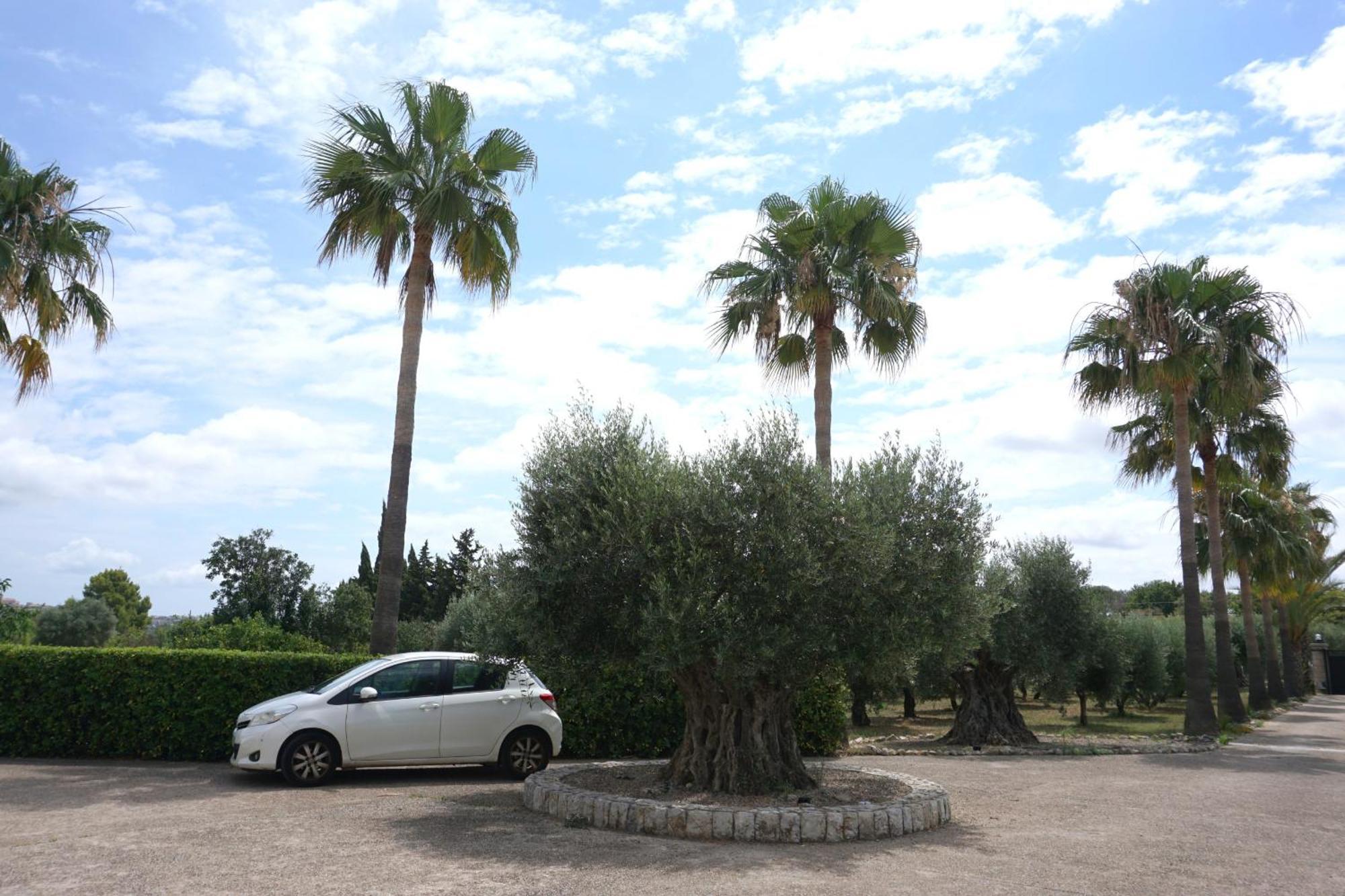 Sa Caseta Moscari Exterior foto